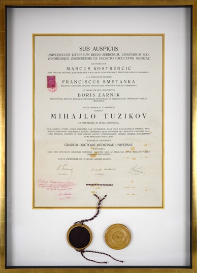 Medical Diploma custom framing example